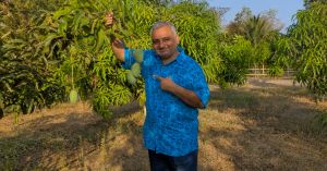 3 Lakh Trees & Counting: Meet the Urban Green Expert Bringing Forests Back to India's Most Crowded Cities