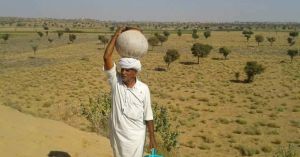 86-YO Farmer Spent 50 Years Growing 27000 Trees to Protect His Village From Moving Sand Dunes