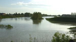 Trovati Pfas e pesticidi, un contratto di fiume per salvare il Livenza