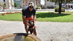 Rabbia canina a Vittorio Veneto, vaccino scontato: ma non sarà del tutto gratis