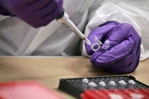 Does genetic testing truly tell us who we really are?