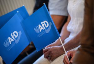 Aufstieg der AfD: Das Spiel mit dem Feuer
