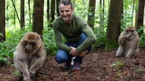 Warum haben Salemer Berberaffen warme Nasen, wenn es ihnen gut geht?