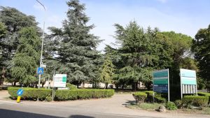I medici lanciano l’allarme stupefacenti a Udine: «La cocaina è raddoppiata, rischiamo molti più morti»
