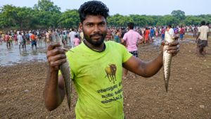 Tamil Nadu Villagers Jump Into Fish Tanks Every Year For a Unique Summer Festival
