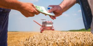 Plus productive, mais pas plus rentable : le paradoxe de l’agriculture française depuis 1960