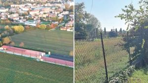Aviaria a San Giorgio di Nogaro: il Tar nega l'indennizzo da 1,5 milioni per i 24mila tacchini abbattuti