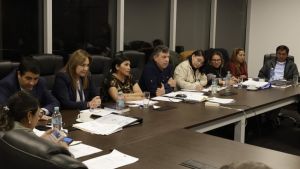 Senado aprueba ley de estados de excepción en medio de la crisis y la envía a Diputados