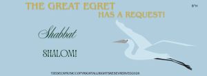 The Great Egret has a Request! Shabbat Shalom! 20 Sivan 5786
