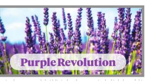 Purple revolution a model for rural communities