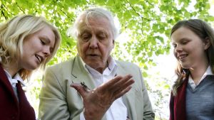 Attenborough, cien años de un naturalista