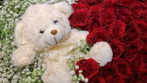 El oso de peluche