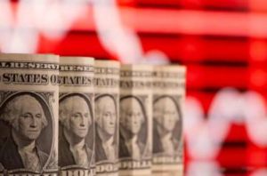 Mercados privados: rehenes de la rentabilidad