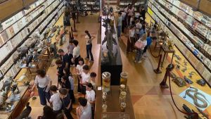 La Collezione Scarpa aperta sabato 6 e domenica 7 giugno: visite già sold out