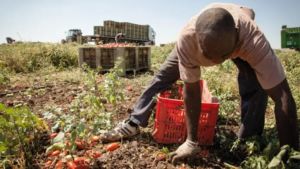 Lavoro nero in Veneto, un giro d'affari da 5,2 miliardi: 169mila lavoratori nell'ombra