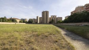 Cartas al director de HERALDO: Living Romareda