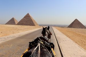 Yol Notları (7): Kahire – İskenderiye – Tûr-i Sînâ (3)
