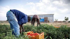 Lavoro nero, in Campania record di «occupati» irregolari: 283 mila. Prodotti 8,3 miliardi illegali