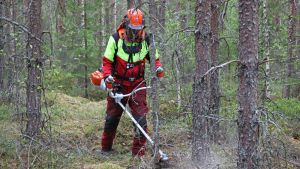 Politiikka | Lukijalta: Puutuotteiden jalostusaste on metsäteollisuuden haaste, ei metsätalouden