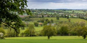 Peut‑on vraiment conserver les haies en simplifiant leur arrachage ?