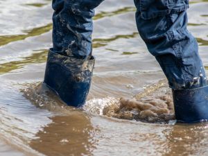 Порой заля къщи и улици във варненското село Войводино