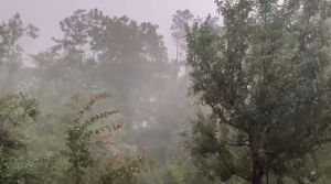 Weather Horrors