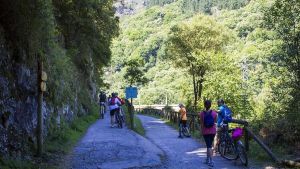 Con doble recargo, voluntaria o con rebajas en temporada baja: las cuatro tasas turísticas que ya existen en España (y la quinta que prepara Asturias)