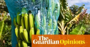 France is starting to own its role in the slave trade. Now it needs to repair its Caribbean legacy