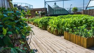 Jardines en las azoteas