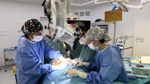 Can Ruti investiga una cirugía experimental para tratar a pacientes con alzhéimer en fase inicial