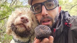 Il tartufo? Si trova anche in Lombardia. Al Parco delle Groane uno stage per allenare il fiuto dei cani