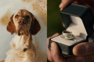 Taylors ads showcase a love for coffee percolating into everyday situations