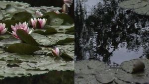 Festival Normandie impressionniste : de Monet à Courbet, 75 projets dans 43 communes