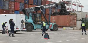 Drogues : malgré des saisies record, un trafic et une consommation en forte croissance