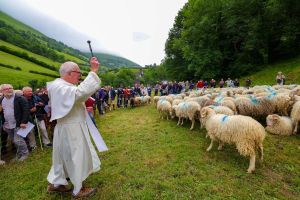 À Lourdios-Ichère, la fête de la transhumance est un vrai moment de communion autour du pastoralisme