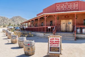 This Calif. desert bar was closed for 46 years. Now it's packed with tourists