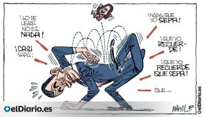 Todo son pulgas