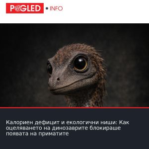 Калориен дефицит и екологични ниши: Как оцеляването на динозаврите блокираше появата на приматите