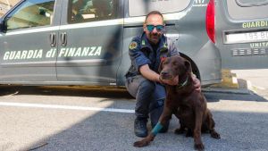 Addio all’amato Elik, il cane investigatore e fedele compagno di lavoro