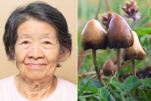 A woman with Alzheimer’s hadn’t spoken in 5 years. A dose of psilocybin changed everything.