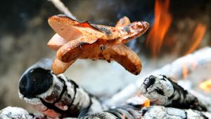 Bräteln mit Silberrücken – oder warum unsere Kolumnistin wieder im Thal grilliert
