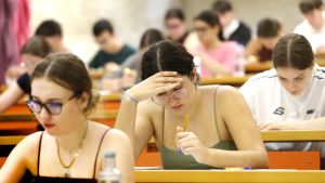 Que se examina na PAU