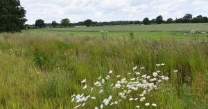 Call to find land for football pitches and open space in town