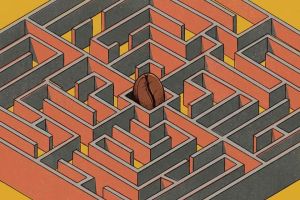 El espejo amargo, por Omar Ãvila