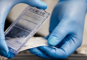 Massachusetts built biotech; China is catching up