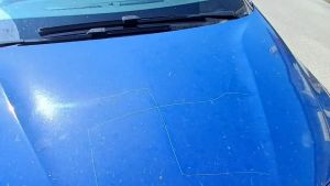 L’auto di un turista tedesco sfregiata con una svastica: «Un episodio che preoccupa»