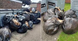 Several bags of insulation dumped in two locations in town