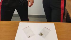 Controlli dei carabinieri tra Latisana e Lignano: arresti, denunce e droga sequestrata