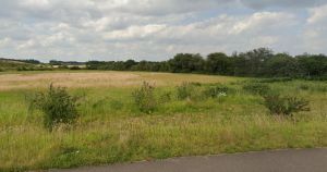 Travellers pitch up on outskirts of Norwich