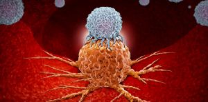 Cancer de la prostate : les activateurs de lymphocytes T « masqués », une immunothérapie prometteuse
